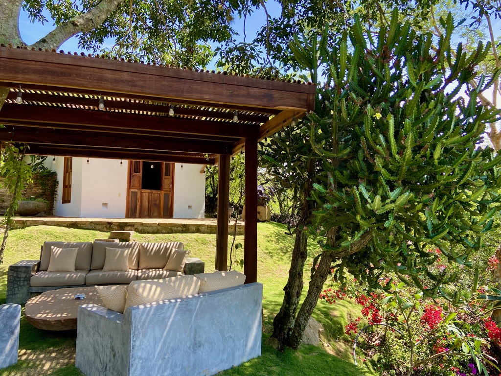 Pergola lounge with festoon lights, cushioned sofas and a tall cactus in the garden