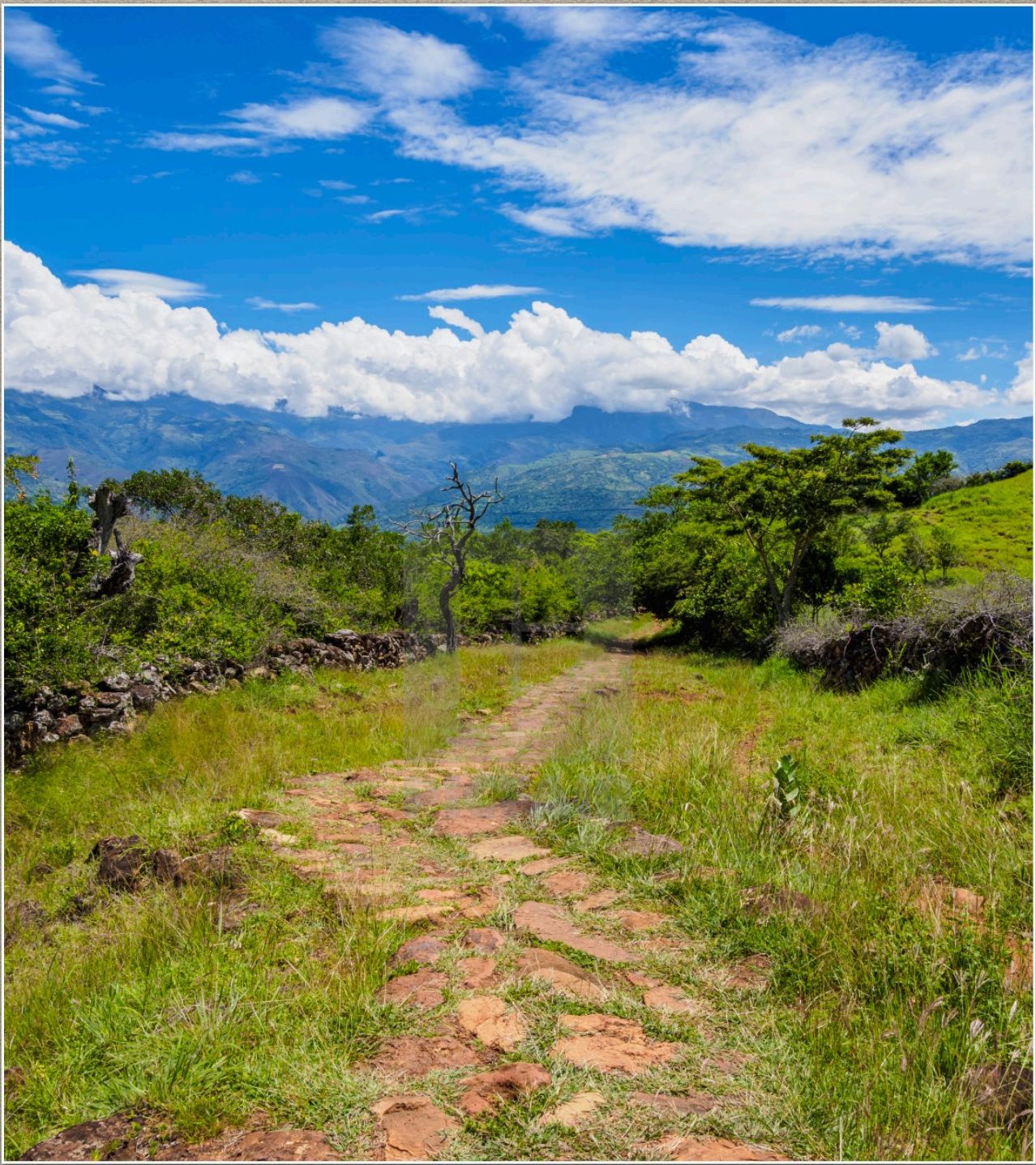 The restored Camino Real stone road running towards the mountains