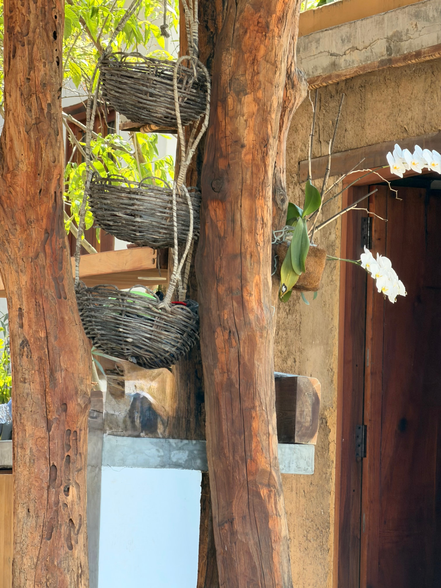 Orchids and woven baskets hung from weathered timber posts beside a wooden door