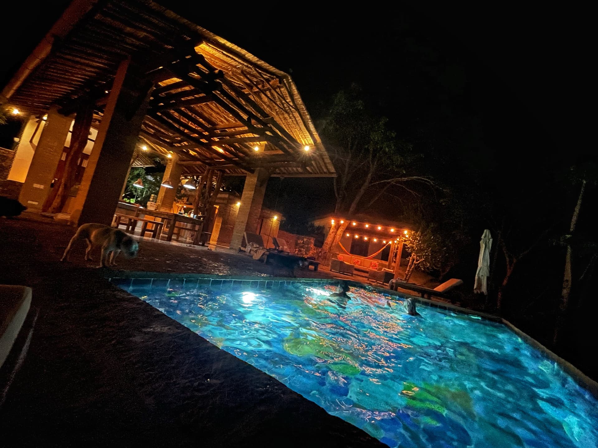 The pool lit up at night beside the open pavilion
