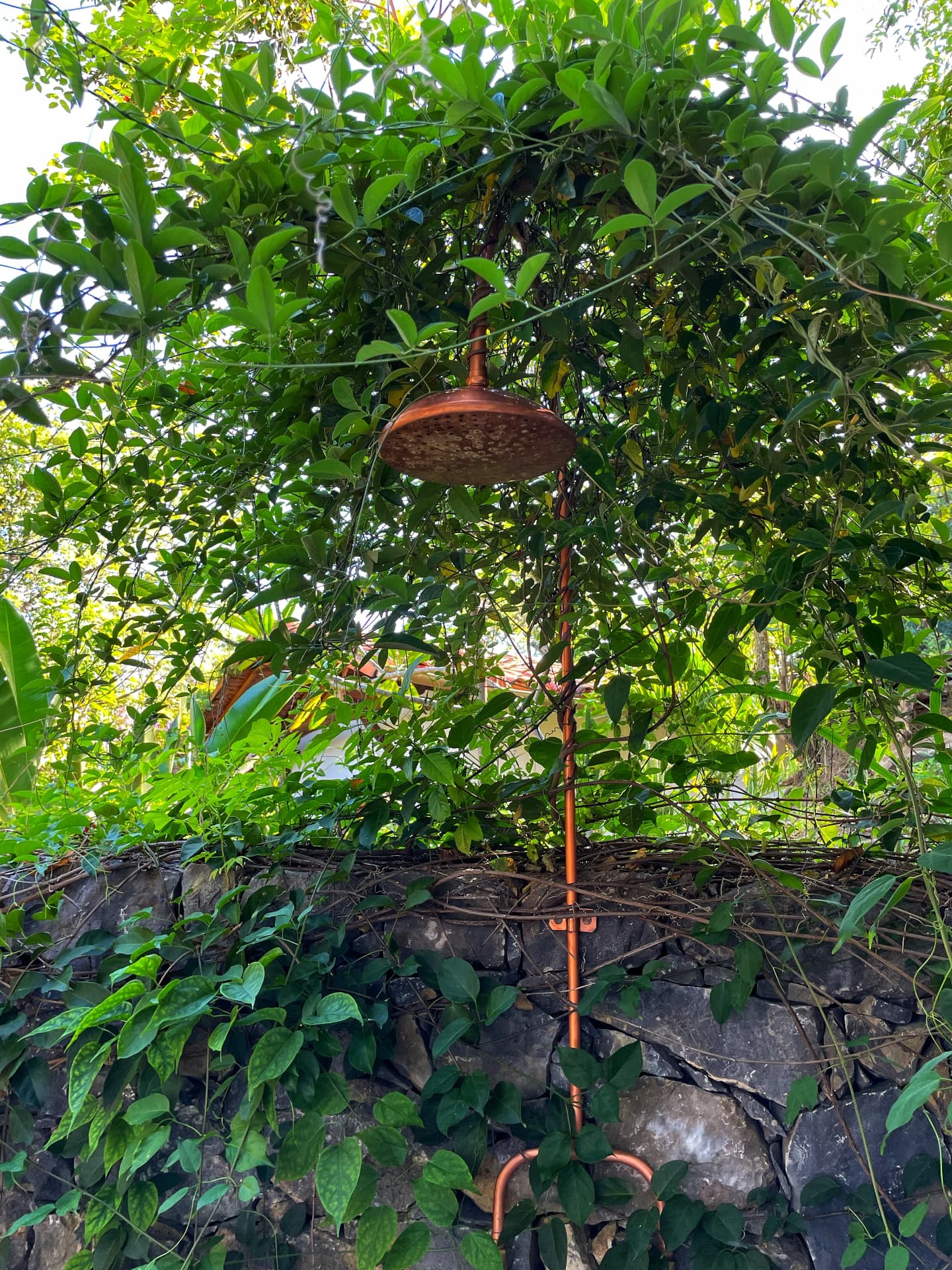 Copper garden shower under climbing jasmine